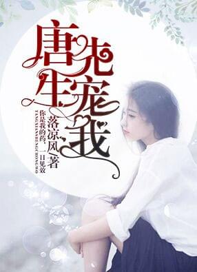唐先生宠我完结版小说资源