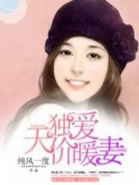 独爱天价暖妻小说全文免费