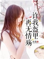 许我盔甲再无情伤