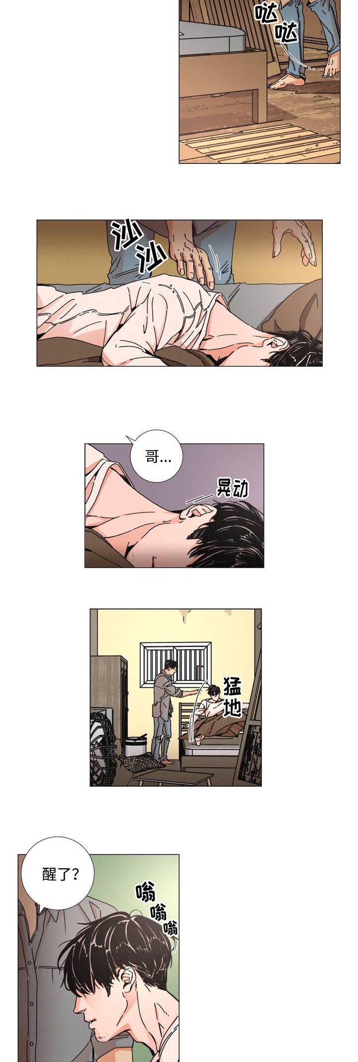 堕落刑警韩国福利漫画无删减资源