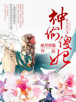 神偷傻妃小说已完结免费网盘微盘阅读地址