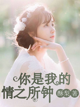 男主角严秉辰女主角陆徽音小说叫什么名字